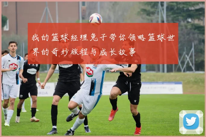 我的篮球经理兔子带你领略篮球世界的奇妙旅程与成长故事
