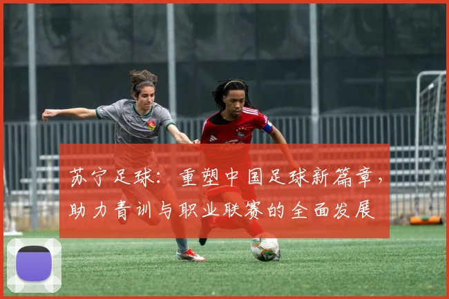 苏宁足球：重塑中国足球新篇章，助力青训与职业联赛的全面发展