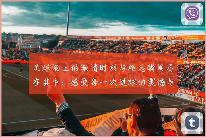 足球场上的激情时刻与难忘瞬间尽在其中，感受每一次进球的震撼与欢呼
