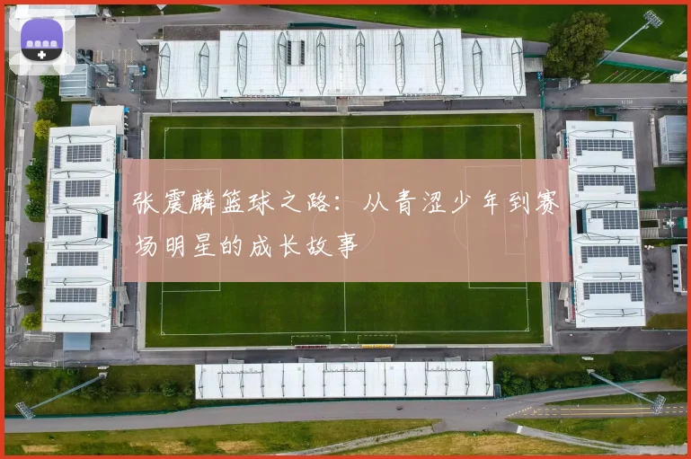 张震麟篮球之路：从青涩少年到赛场明星的成长故事