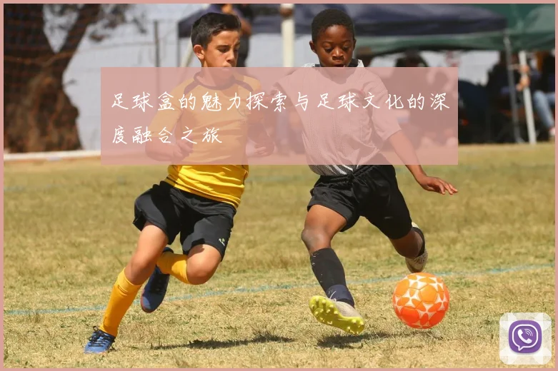 足球盒的魅力探索与足球文化的深度融合之旅